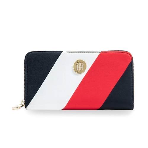 Carteras Tommy Hilfiger AW0AW095420GY