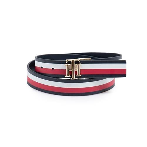 Rayas Tommy Hilfiger AW0AW100700GY