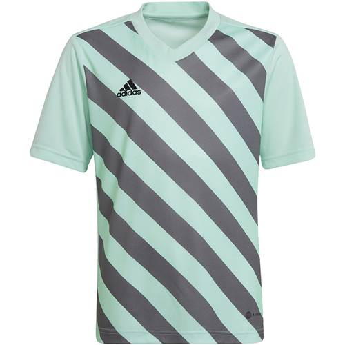 Camiseta Adidas Entrada 22 Graphic Jersey