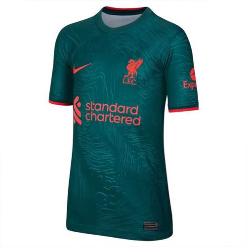 Camiseta Nike Liverpool FC 202223 Stadium Away JR