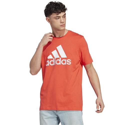 Camiseta Adidas Big Logo SJ